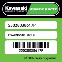 Ekspresowa dostawa Owiewka boczna lewa C.L.G Kawasaki
