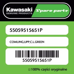 Popularny Owiewka górna C.L.GREEN Kawasaki
