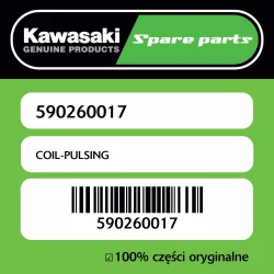 COIL-PULSING Najlepsza cena