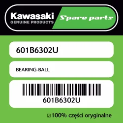 Ekspresowa dostawa Łożysko kulkowe Kawasaki