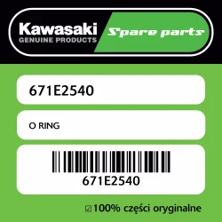 O RING Bezpieczna płatność