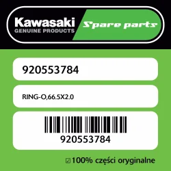 Sprawdź teraz RING-O,66.5X2.0