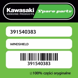 WINDSHIELD Ostatnia szansa